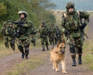 German shepherd led a foot patrol.